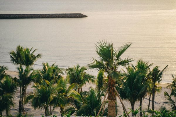 Quels sont les meilleurs itinéraires pour une randonnée en raquettes dans les montagnes Rocheuses, USA?